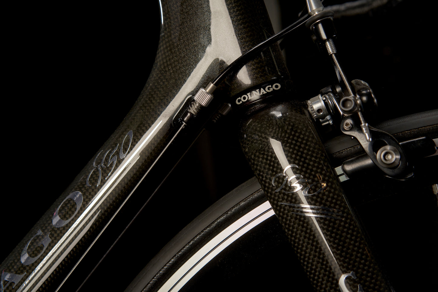 President 50th Anniversary