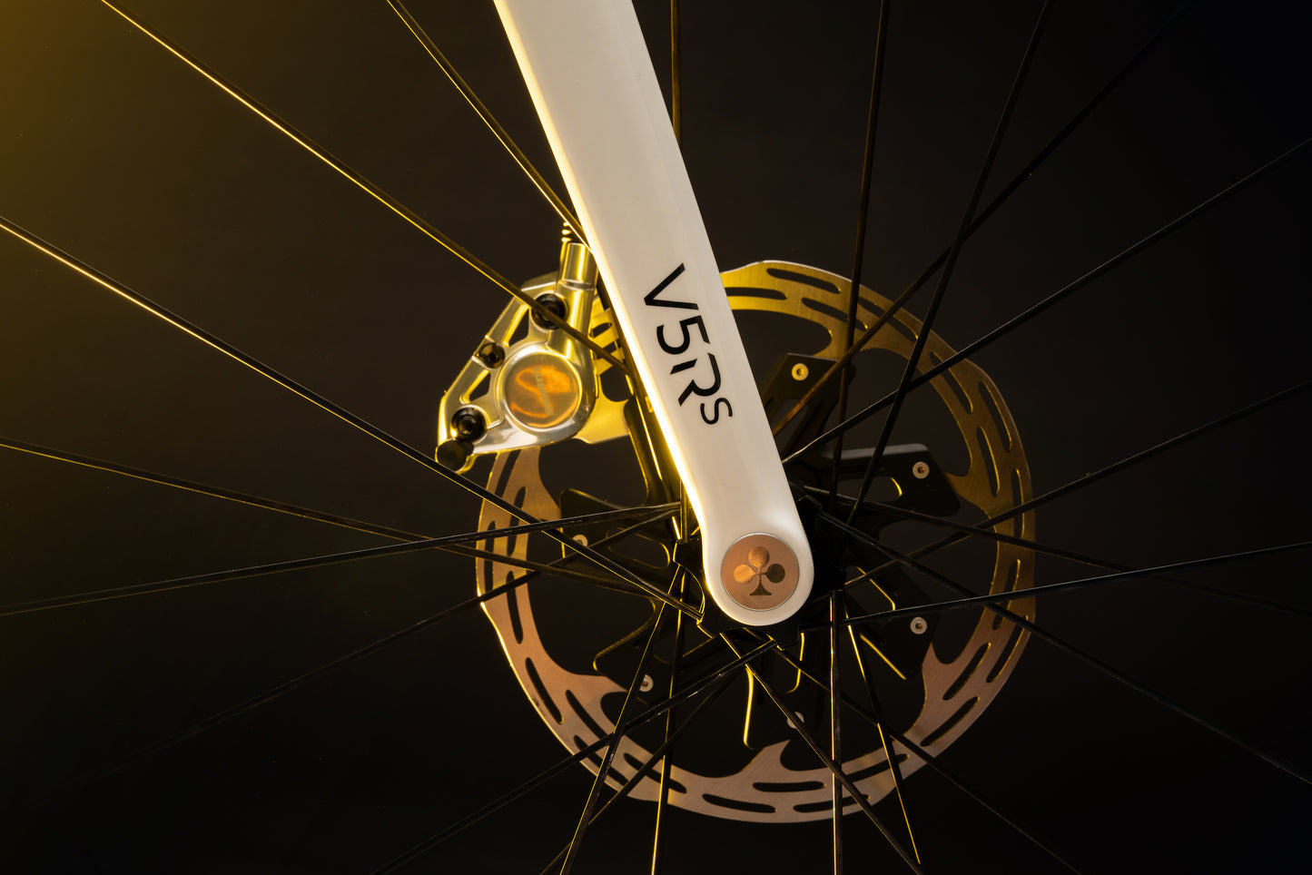 Copertura per perno passante Y1Rs & V5Rs – Argento
